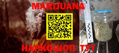 гашик Моздок