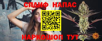 гашик Моздок