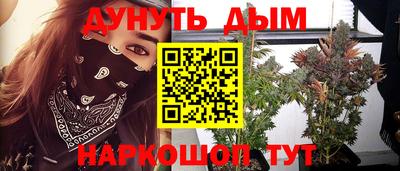 гашик Моздок