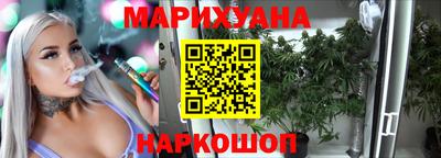 гашик Моздок