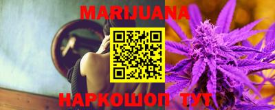 гашик Моздок