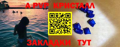 гашик Моздок