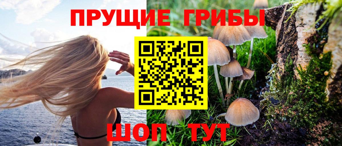 Псилоцибиновые грибы прущие грибы Тайшет