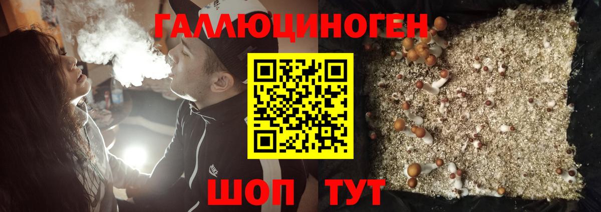 Галлюциногенные грибы Cubensis  купить наркотик  Псилоцибиновые грибы Cubensis  Тайшет  Вход с VPN 